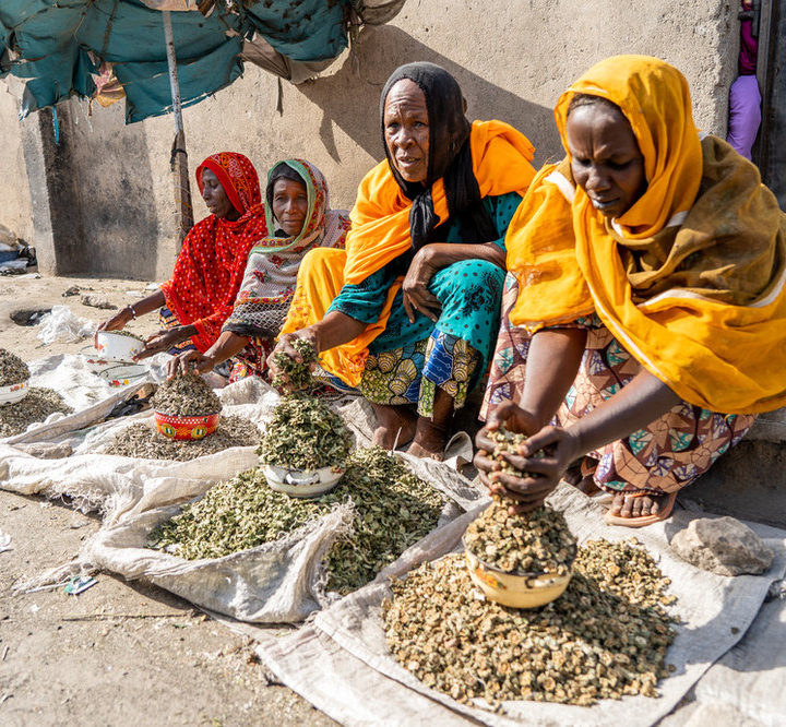 a group of older women prepare food to be sold at a market in northeastern Nigeria. They are wearing bright, patterned headscarves and dresses.
