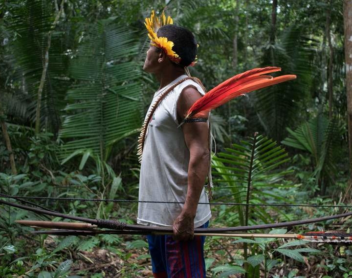 An indigenous person stands in the thick foliage of the Amazon. They are wearing a yellow feather crown, an armband with long red and orange feathers and are holding a bow and some arrows. 